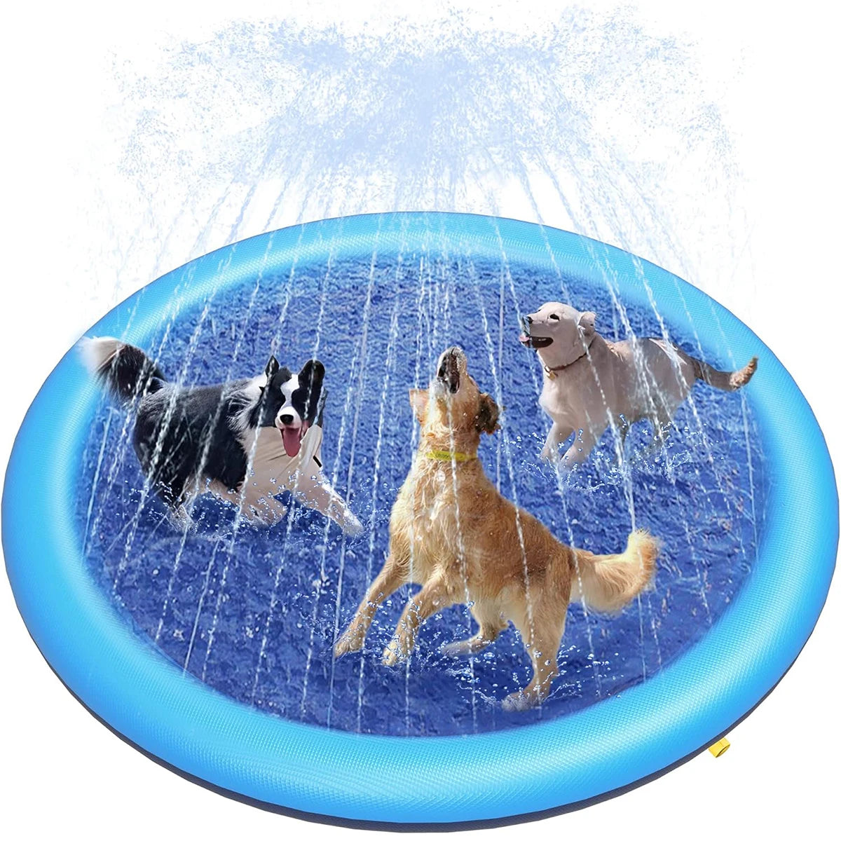 Tapete splash para animais